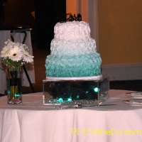 Wedding: Diane and Greg at Bellevue Country Club, Syracuse, 6/27/15 3