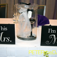 Wedding: Emily and Adam at DoubleTree East Syracuse, 8/1/15 20