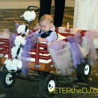 Wedding: Emily and Adam at DoubleTree East Syracuse, 8/1/15 2