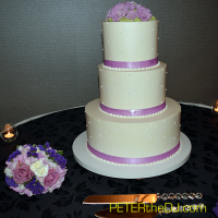 Wedding: Emily and Adam at DoubleTree East Syracuse, 8/1/15 19