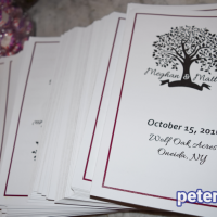 Wedding: Meghan and Matt at Wolf Oak Acres, Oneida, 10/15/16 14