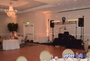 Erica and Grant wedding reception at Genesee Grande Hotel in Syracuse