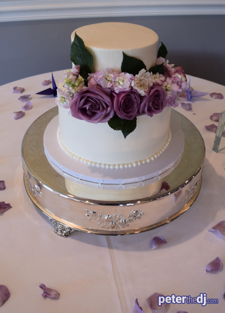 Wedding Liz and Nakul at Gabriella's Manor, Greene, 6/3/17