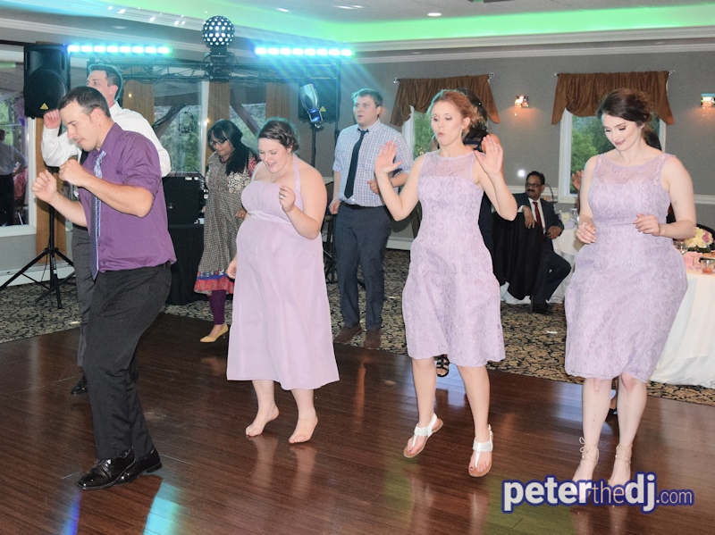 Wedding Liz and Nakul at Gabriella's Manor, Greene, 6/3/17