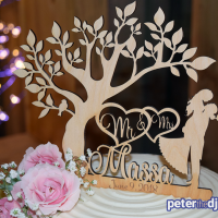 Cake topper at Kimberly and Giovanni's wedding at Wolf Oak Acres in Oneida, NY, June 2018