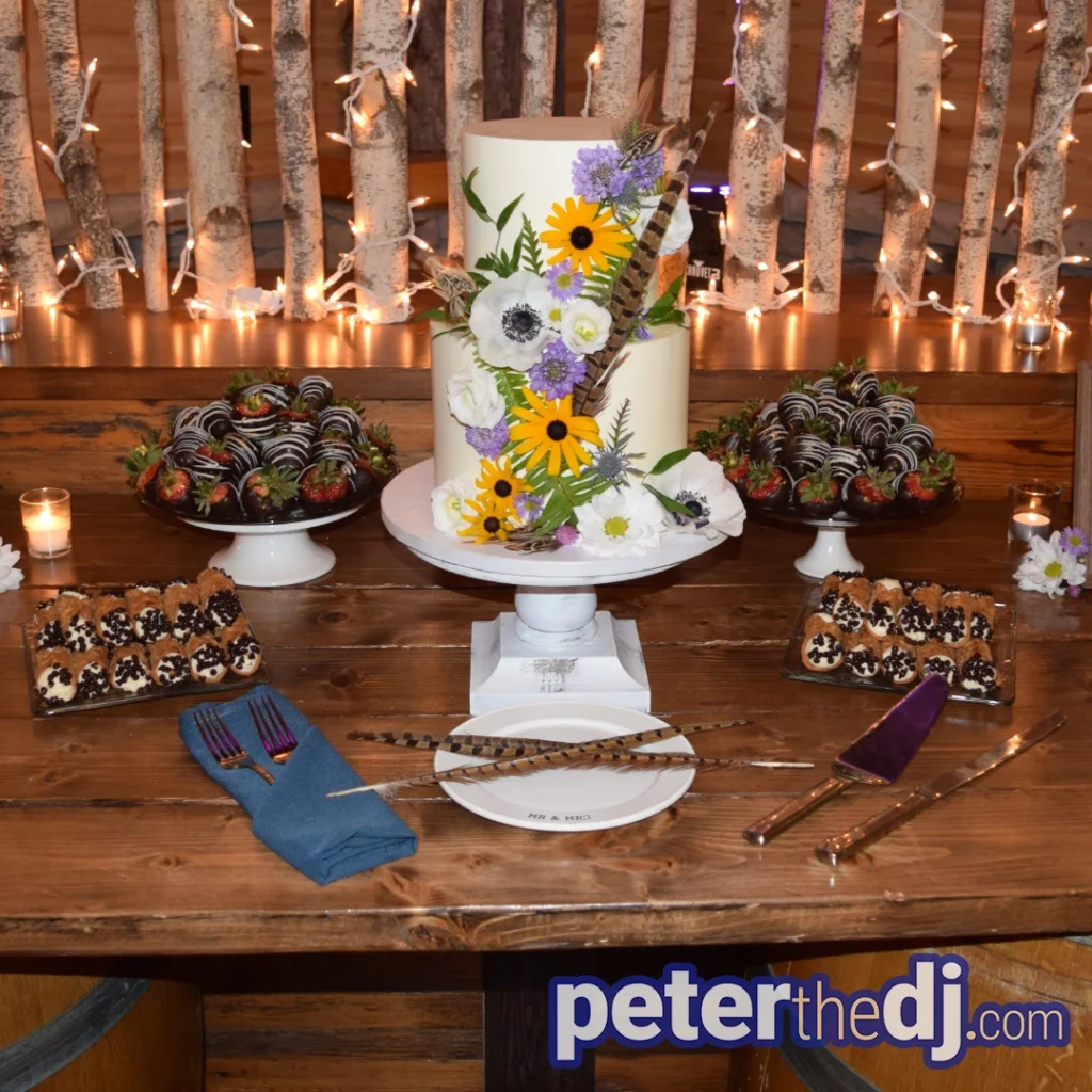 Wedding Cake and desserts at Susan and Michael's wedding at Tailwater Lodge, Altmar, NY - July 2024 -  Photos by DJ Peter Naughton - peterthedj.com